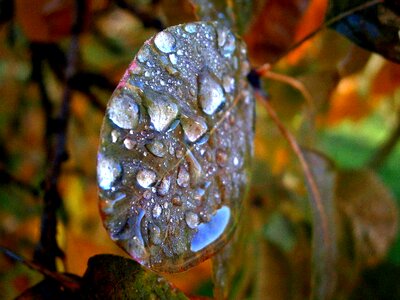 Water morning colorful