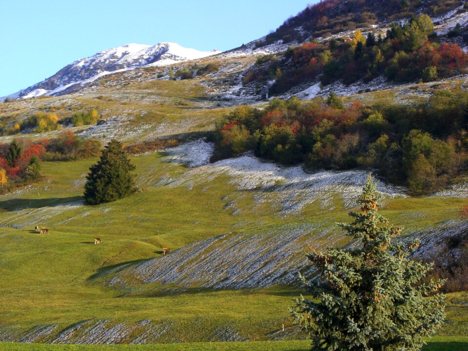 Snow switzerland landscape