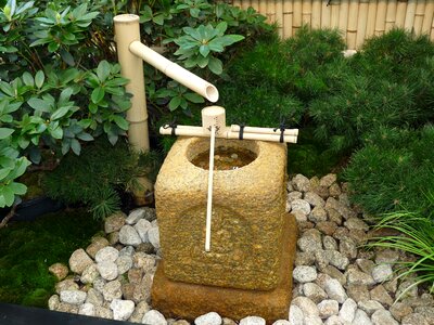 Trays garden stones