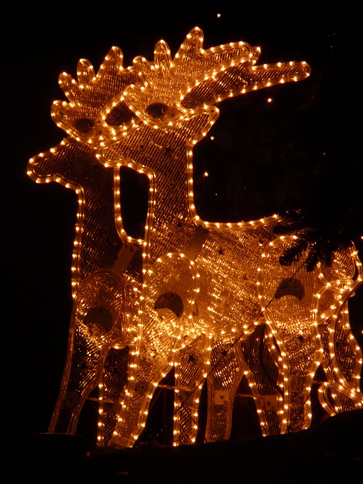 Winter shining night