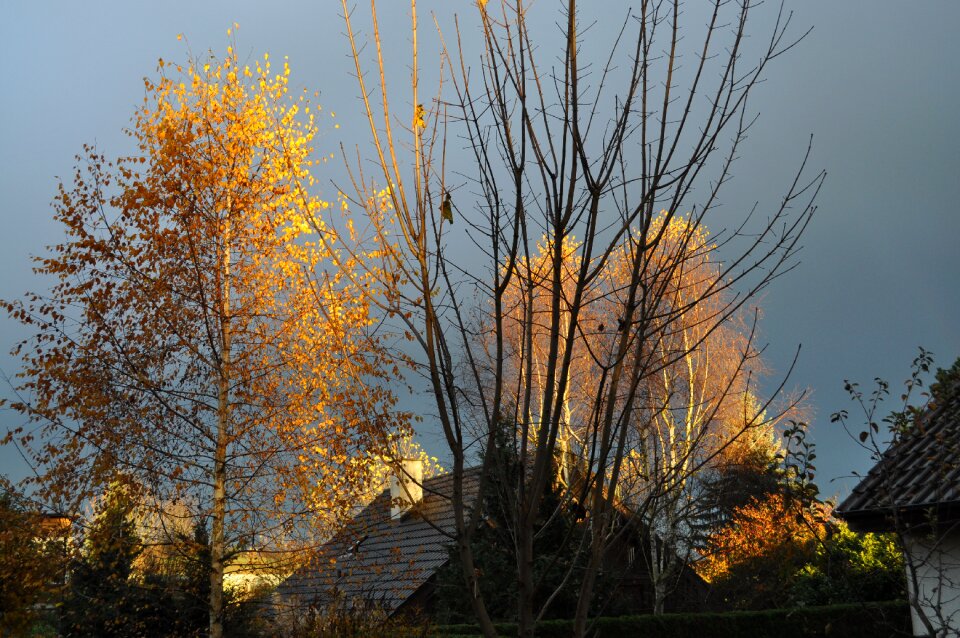 Nature atmosphere sunbeam