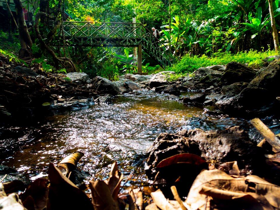 River landscape creek north thailand