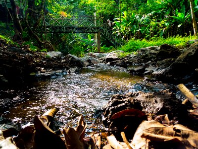 River landscape creek north thailand photo