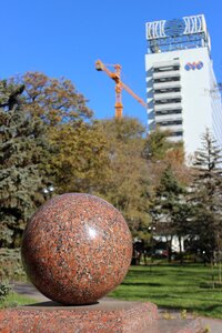 Trees sky rostov na donu