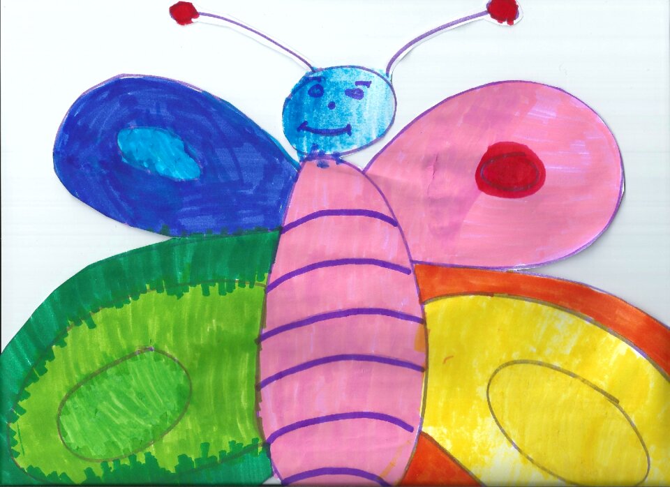 Drawing butterfly colors