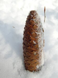 Snow decoration element