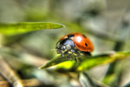 The details of the nature dots photo