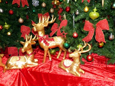 Christmas ornament gold pine needles photo