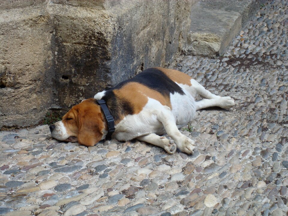 Tired relax exhausted