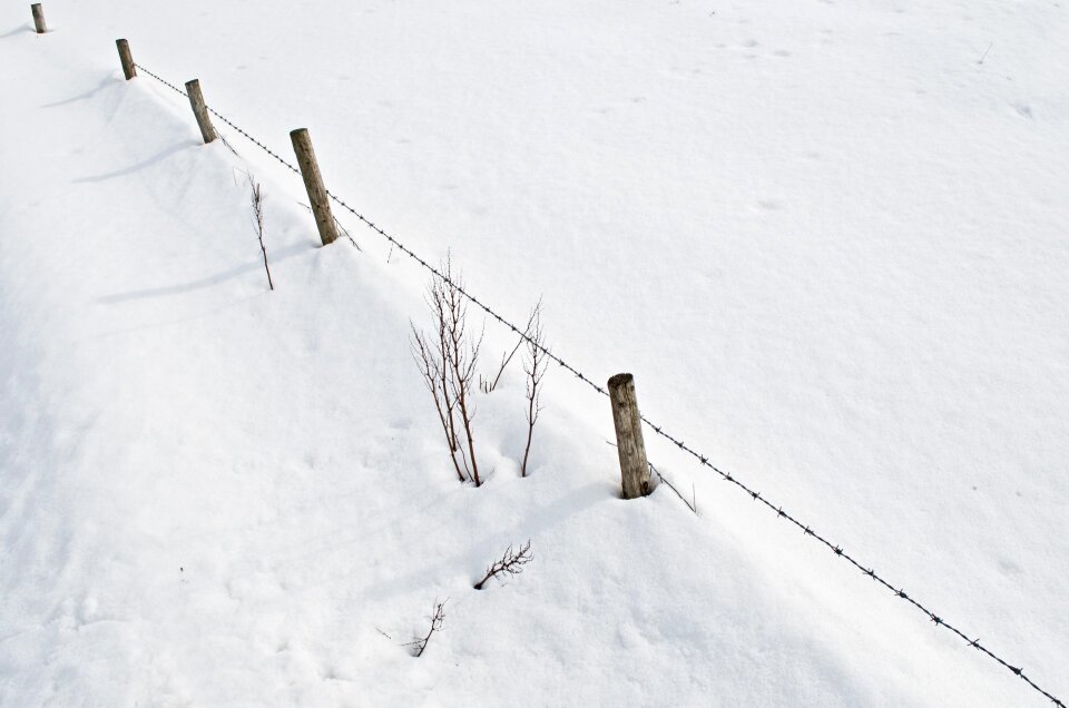 Cold seasons december