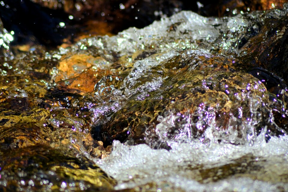 Park port moody canada
