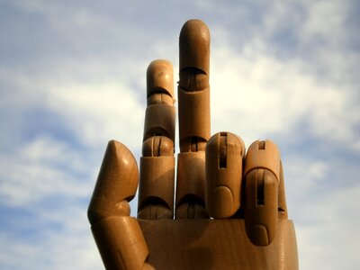 Wood joints joint