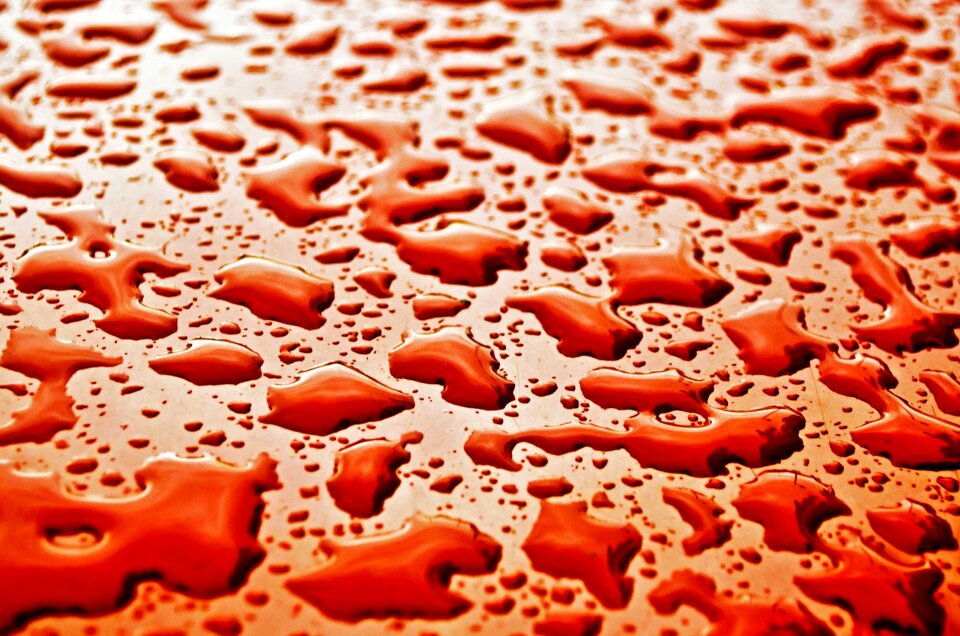 Macro background wallpaper