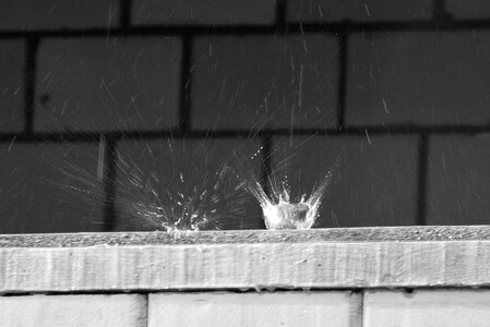 Building nature black white