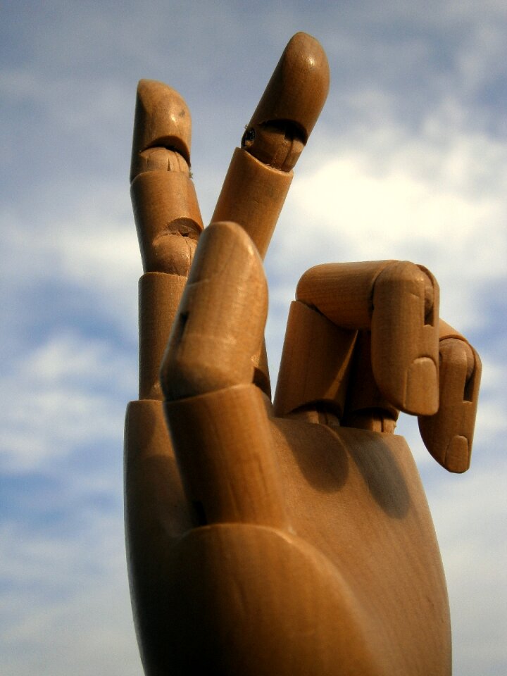 Wood joints joint