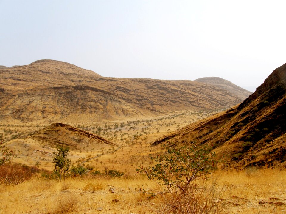 Dry bare barren photo