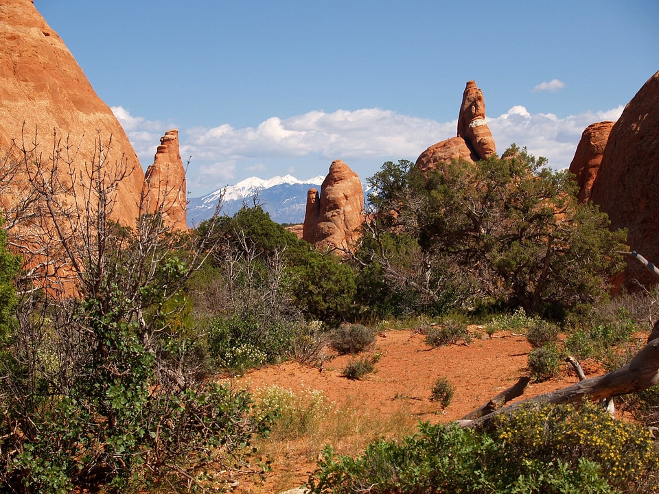 Sandstone red erosion
