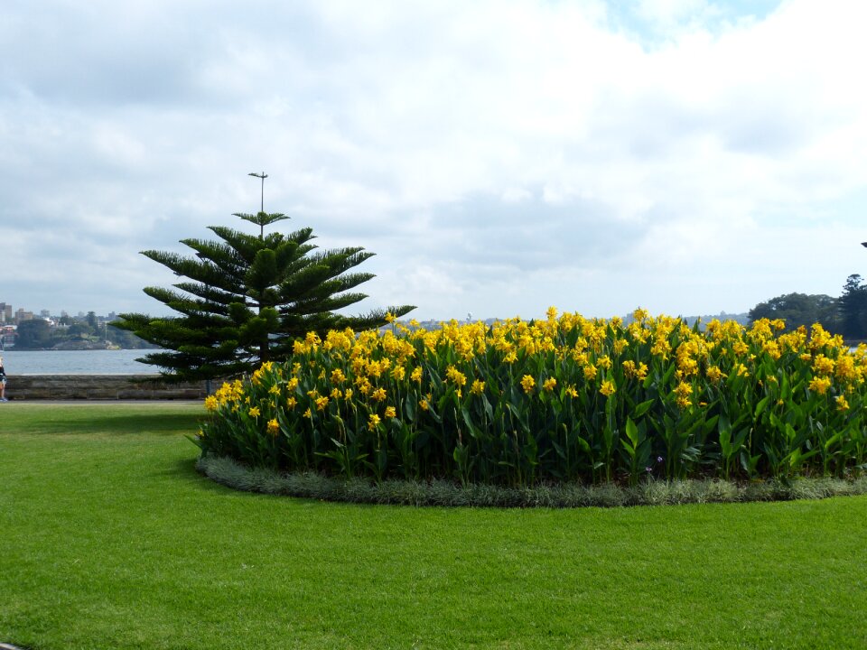Park botanical flora