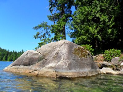 Pine beach park