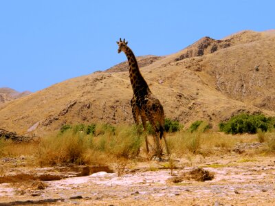 Heat sun namibia