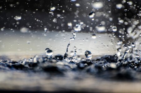 Wet nature element