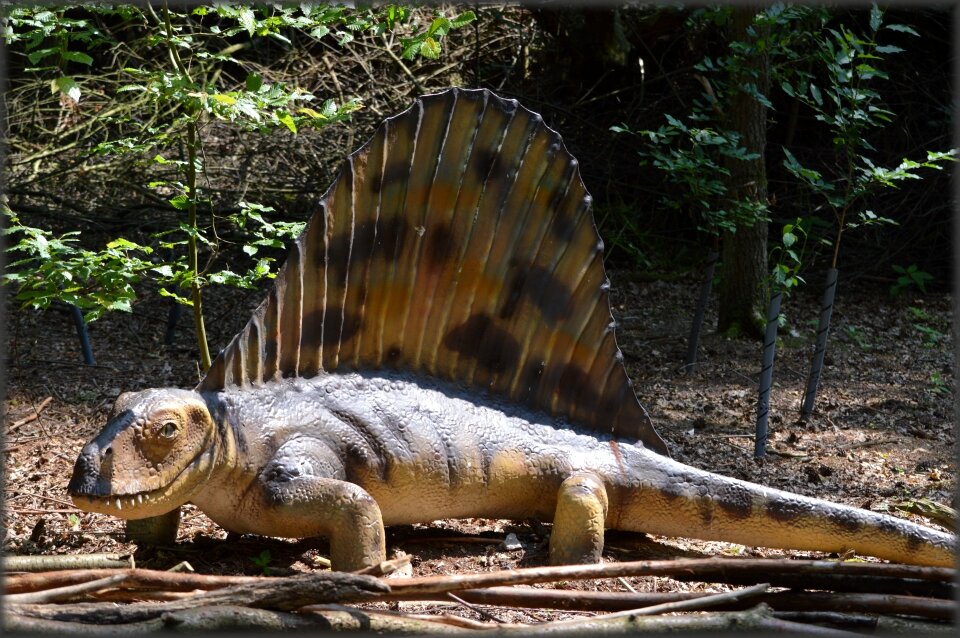 Amersfoort predators herbivores