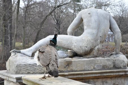 Interest in park monument
