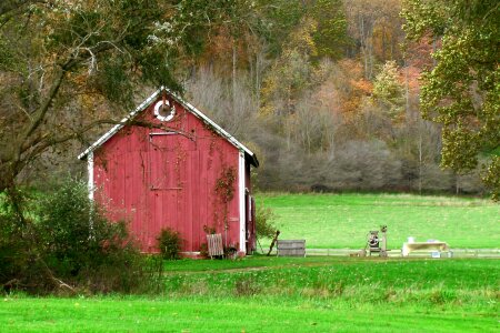 Amish countryside green grass photo