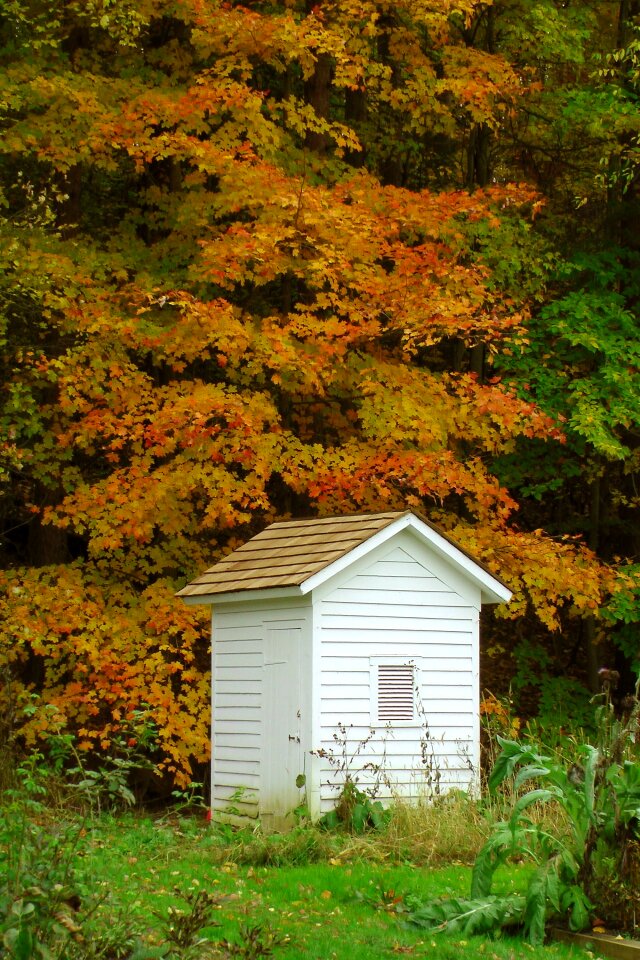 White painted isolated