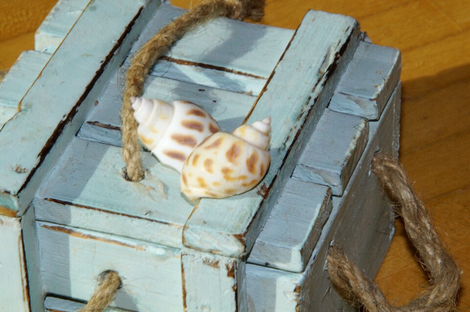 Maritime decoration deco
