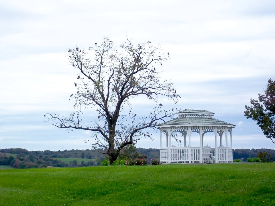 Shelter field green