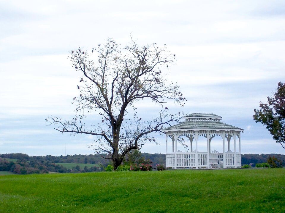 Shelter field green photo