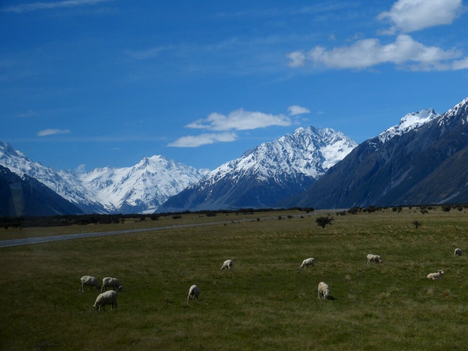 South island wilderness steep