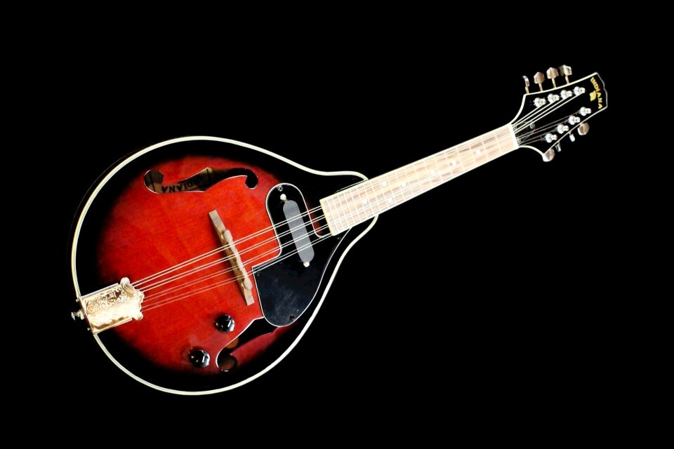 Musical instrument mandolin lute