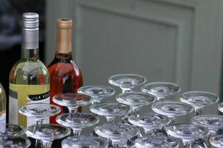 Wine glass night out gathering