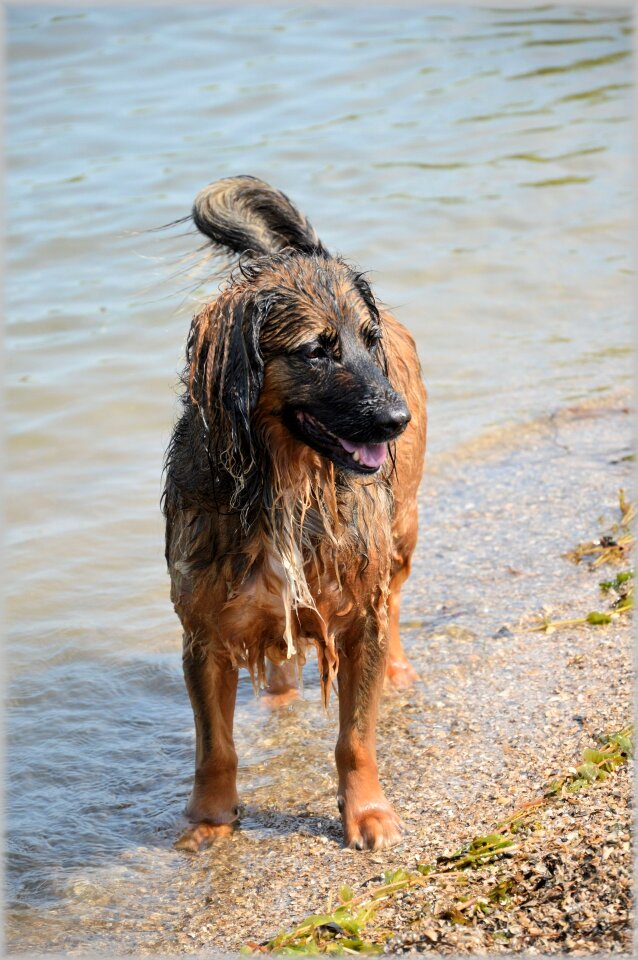 Outdoor ball playing