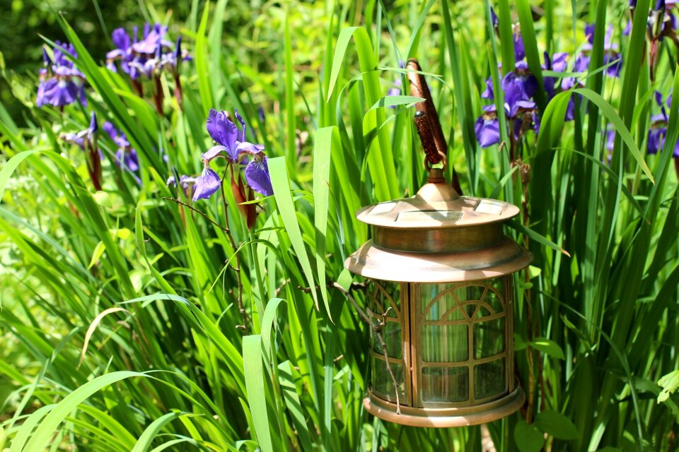 Hanging lantern bright flowers