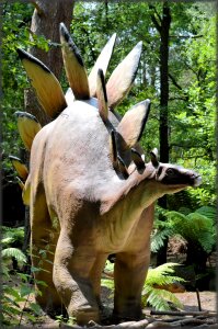 Amersfoort predators herbivores