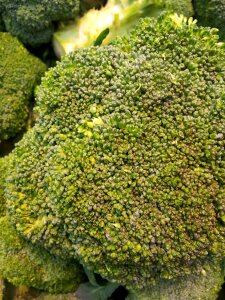 Fresh healthy vegetarian