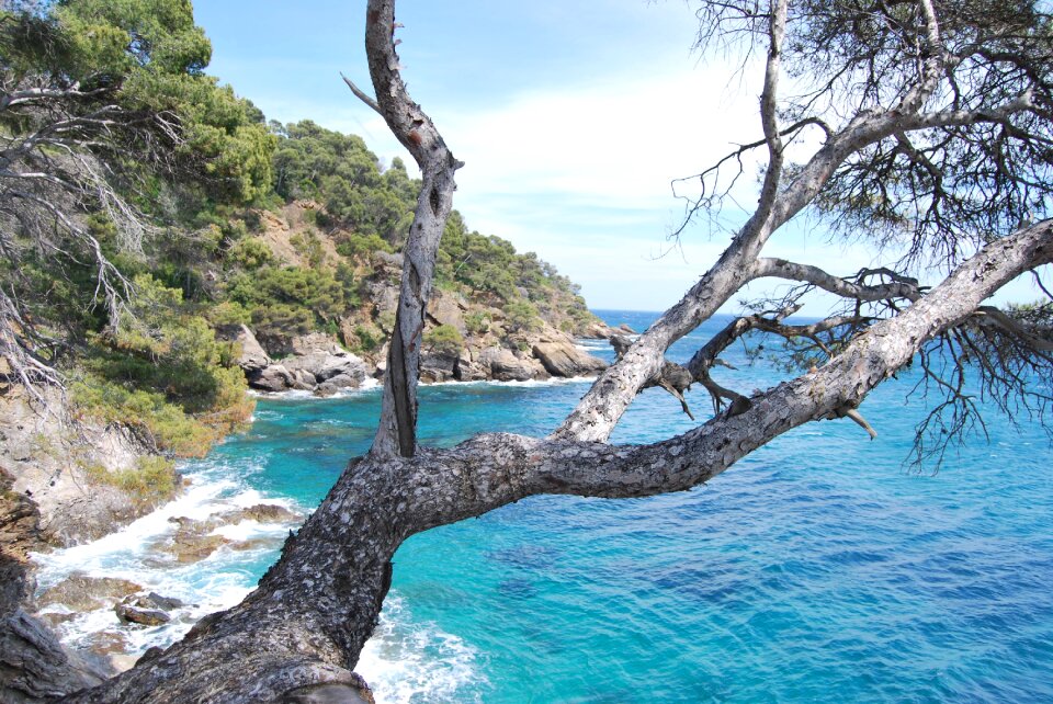 Corniche azure nature photo