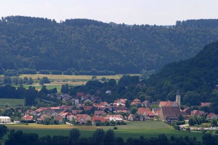 Upper palatinate forest foresight