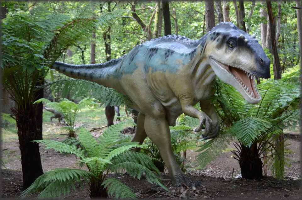 Amersfoort predators herbivores