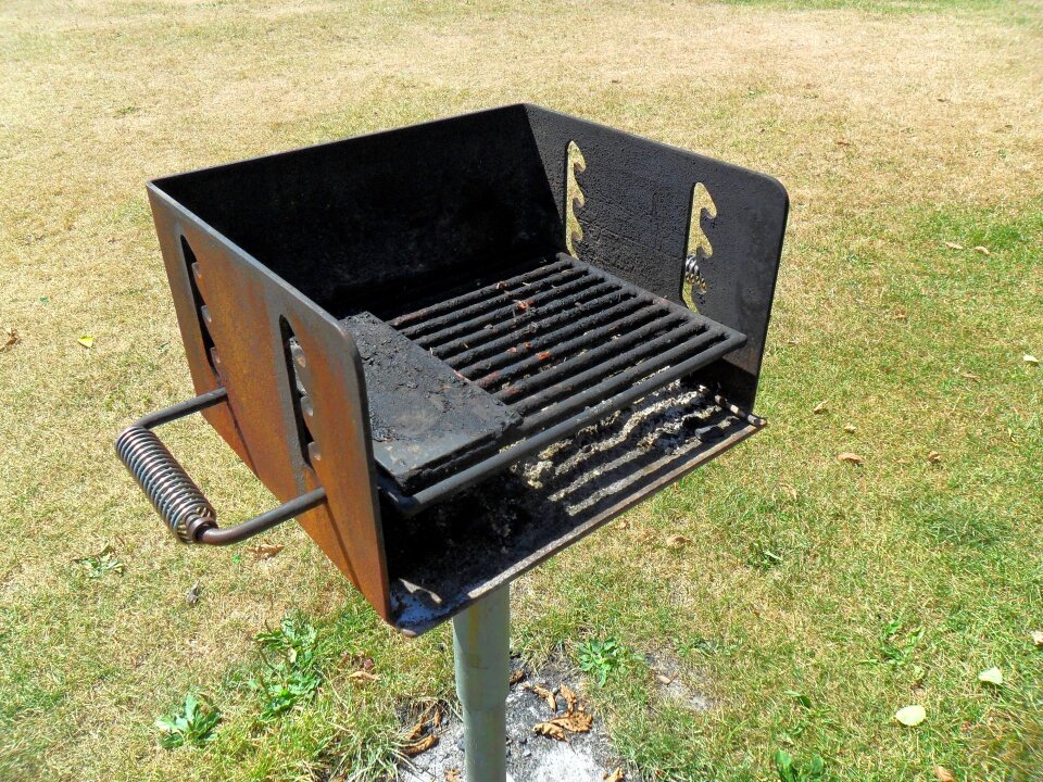 Oven food fire