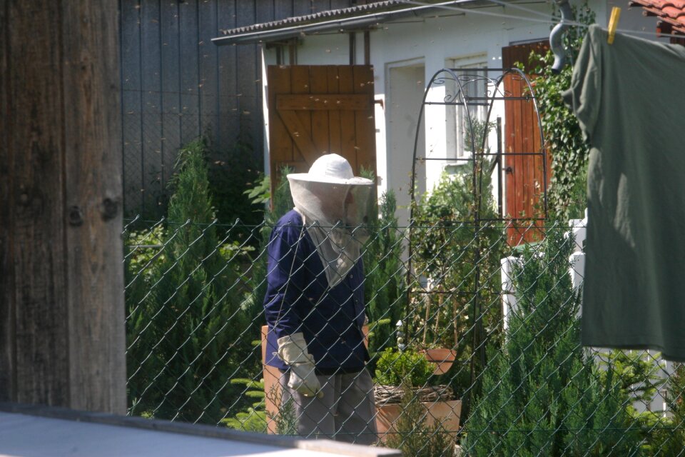 Honey bees bee keeping honey combs