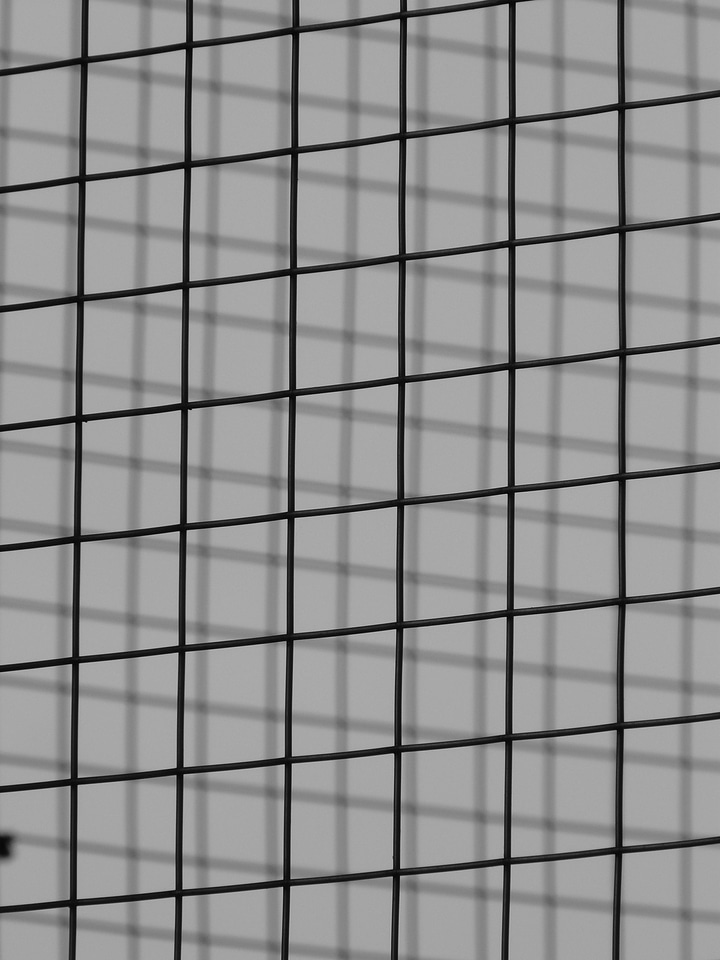 Metal wire black and white