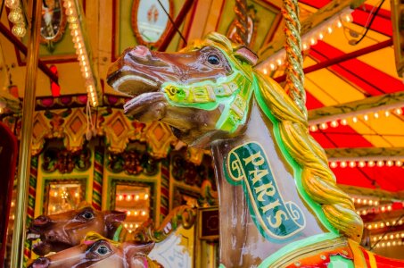 Roundabout fun horse