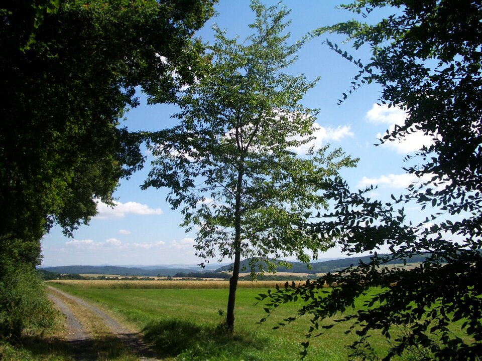 Landscape nature lane