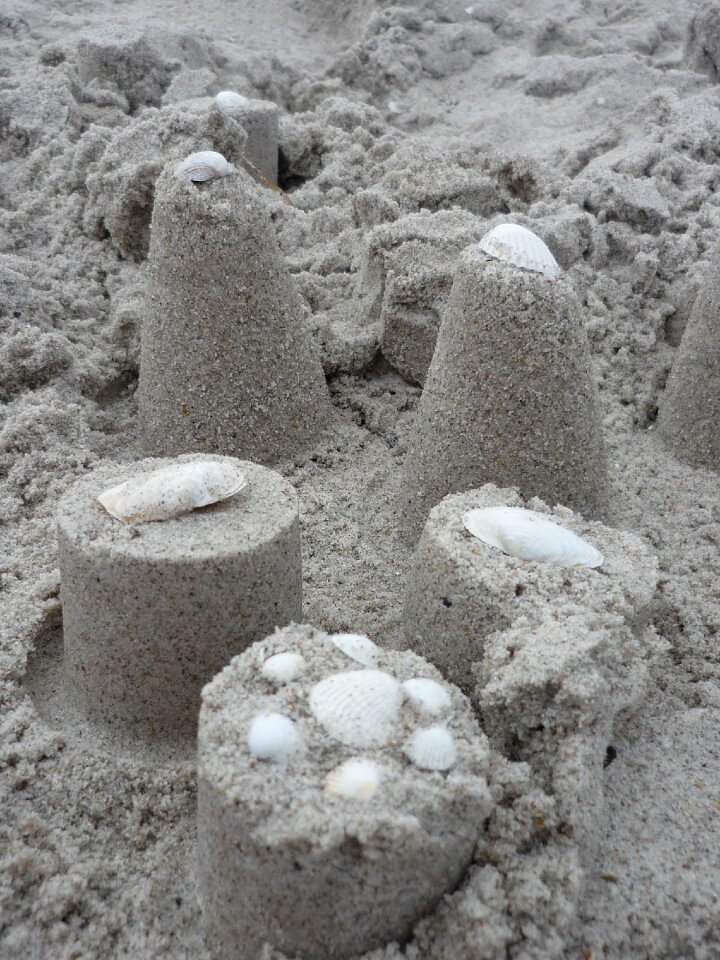 Beach build mussels