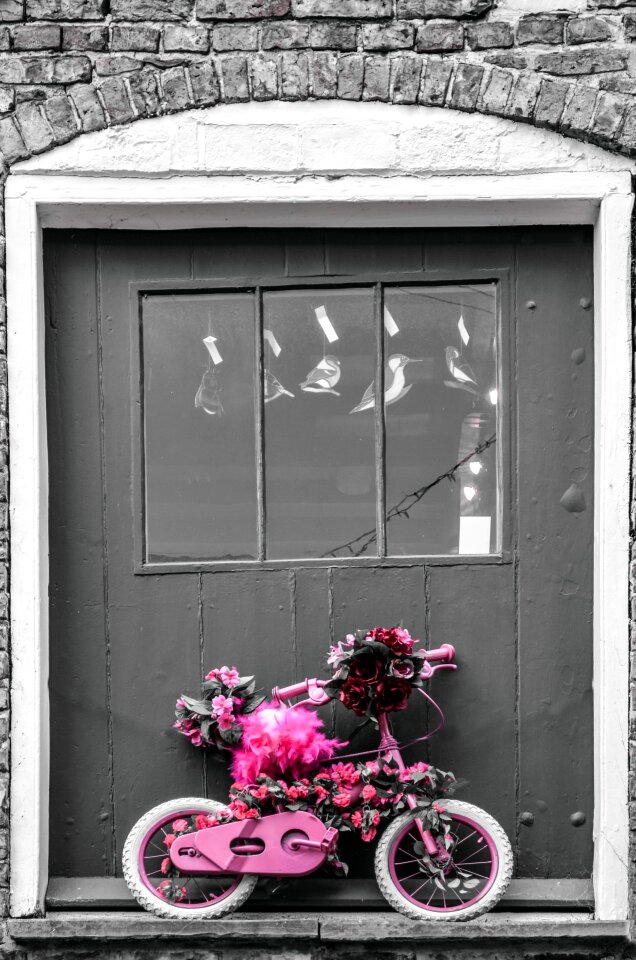 Small door flowers