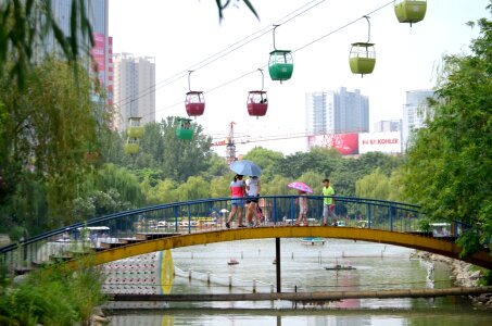 Park landscape bridge